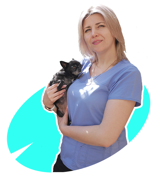 конструктор мини сайтов визиток для Инстаграм